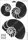 Schablone-Stencil A4 017-1258 Muschelmotiv
